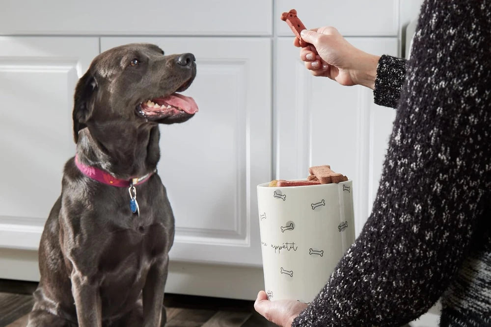 Pearhead Ceramic Dog Treat Jar