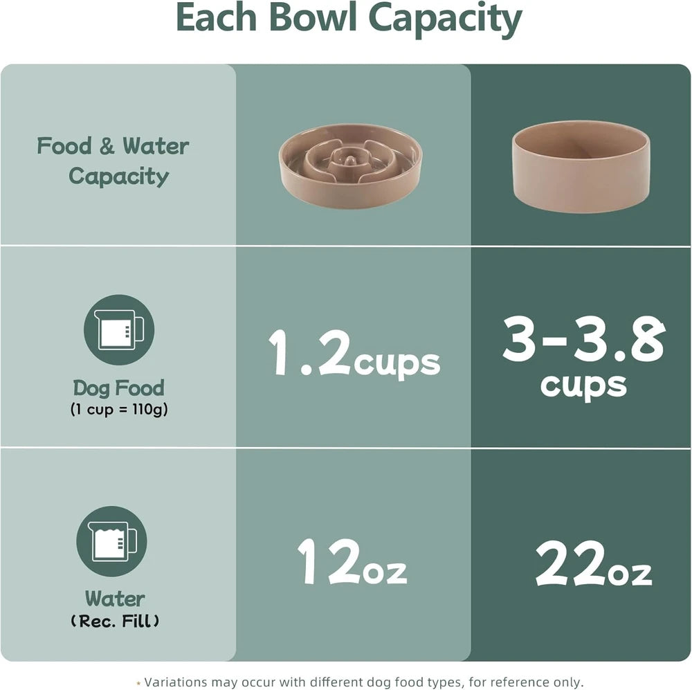 Havniva Elevated Ceramic Slow Feeder