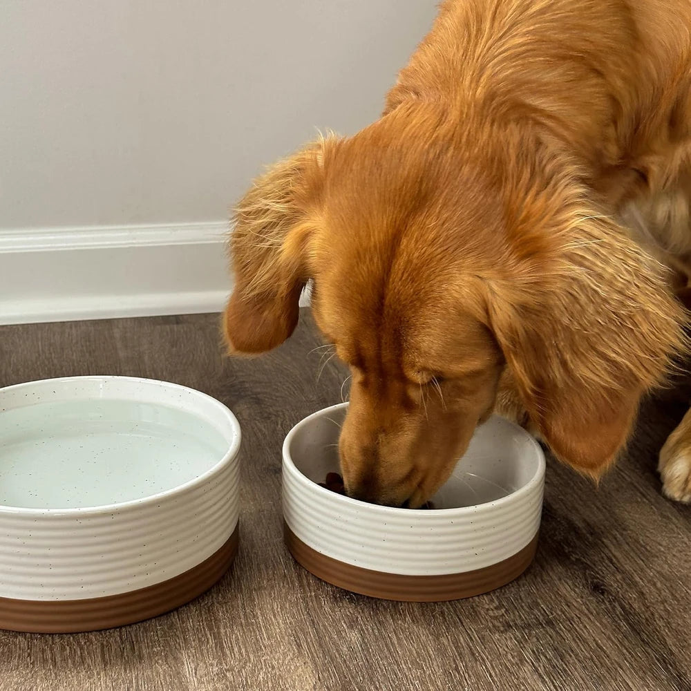 Mora Ceramic Pet Bowl