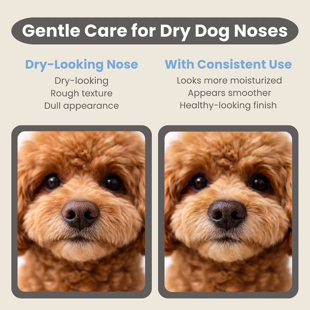 Ali+Oli Organic Paw and Nose Balm