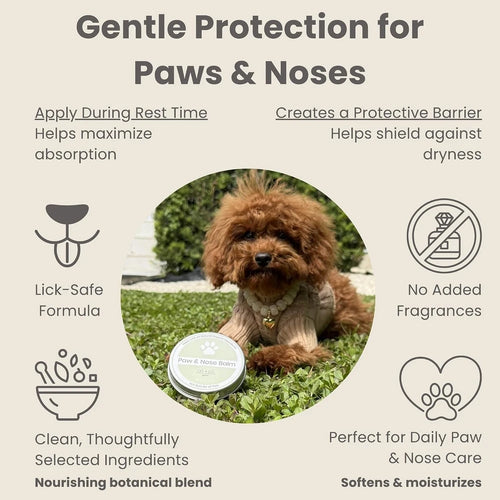 Ali+Oli Organic Paw and Nose Balm