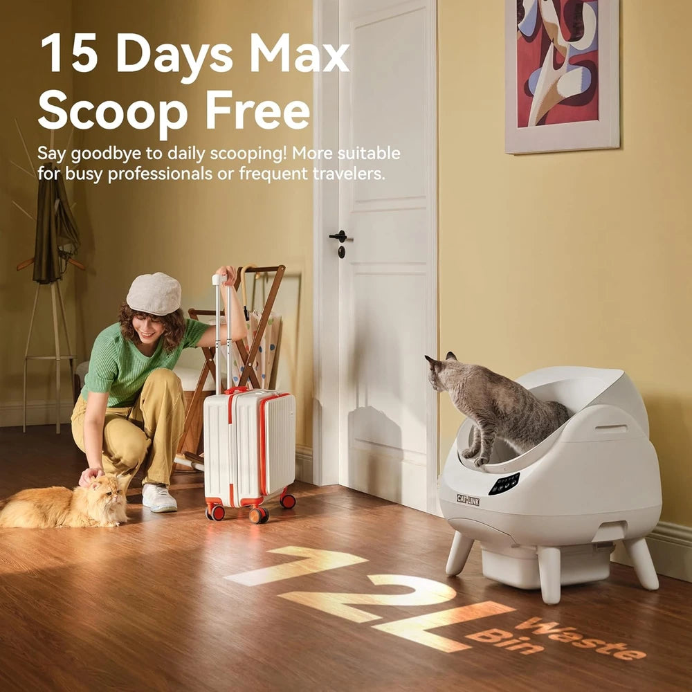 Open Top Self-Cleaning Litter Box