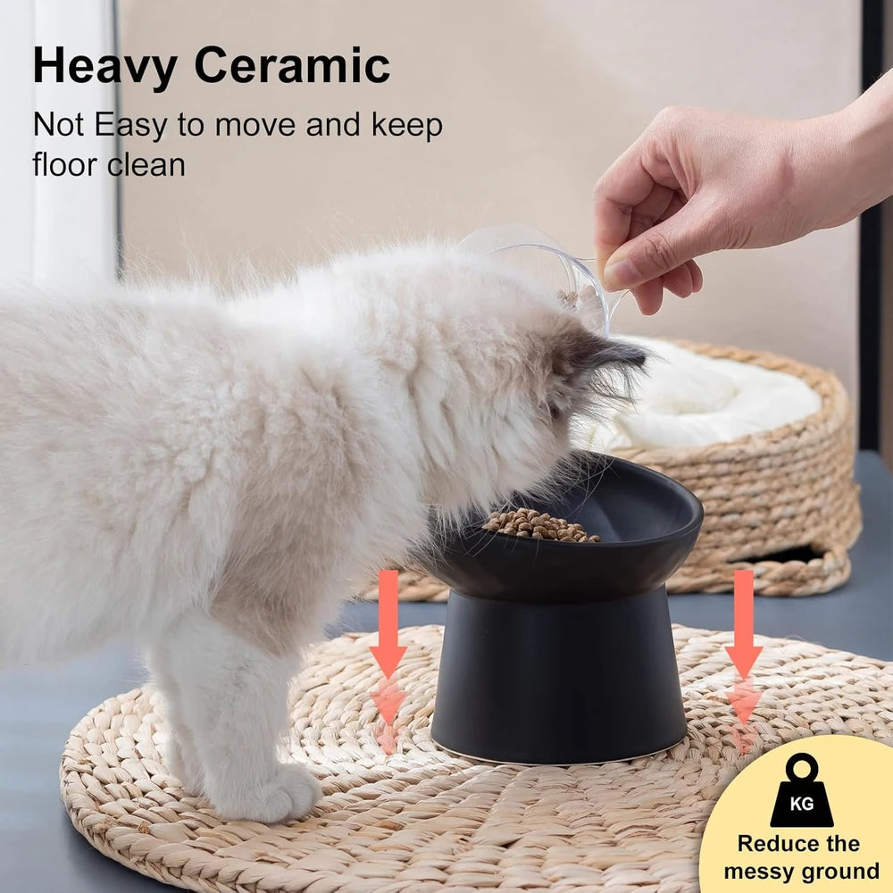 YauYik Elevated Ceramic Cat Bowls