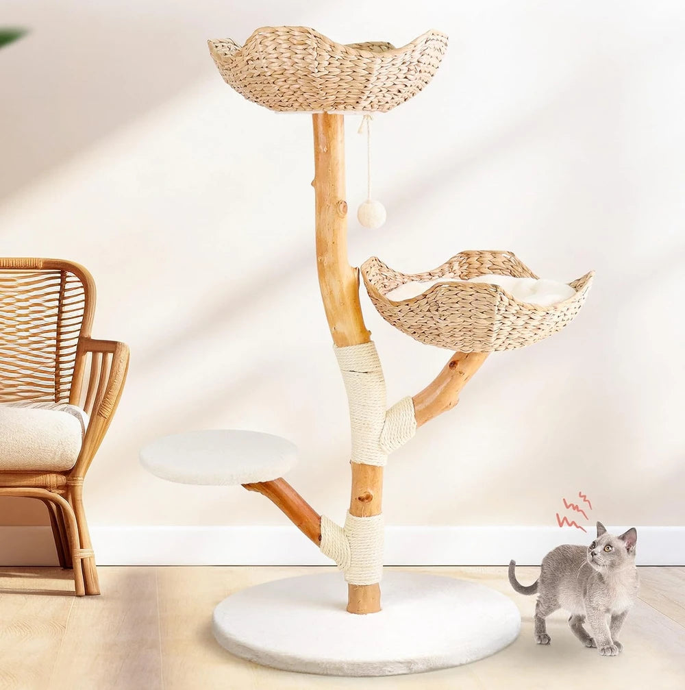 Leo & Lexi Modern Wood Cat Tree
