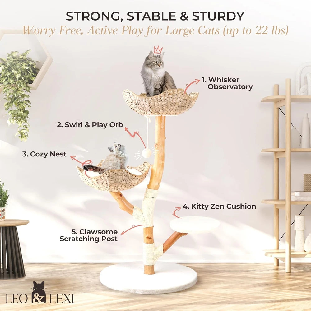 Leo & Lexi Modern Wood Cat Tree
