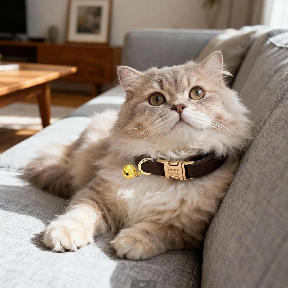 Adjustable Personalized Cat Collar