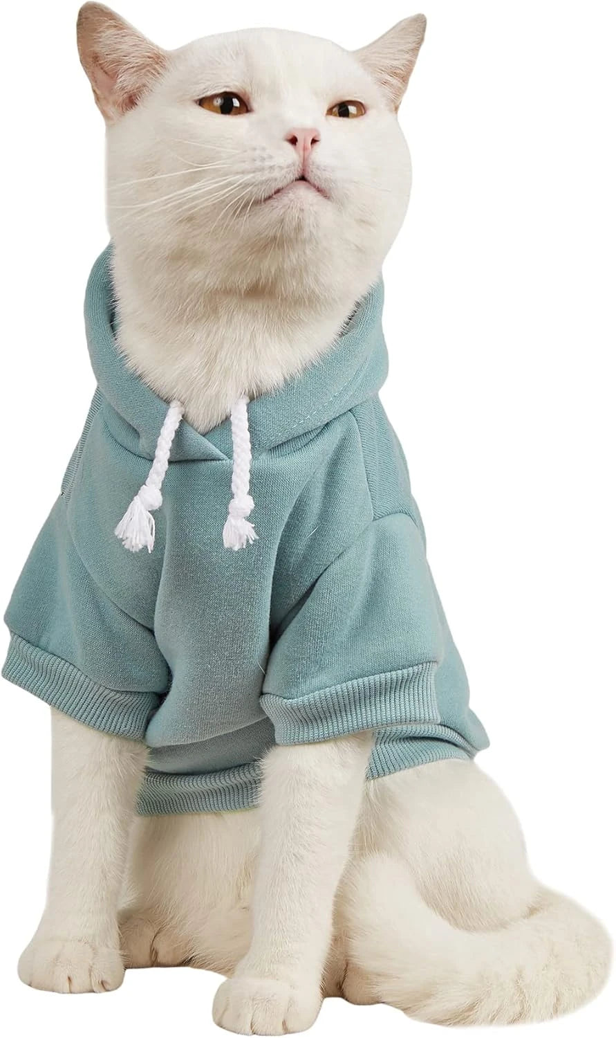 Qwinee Small Cat Hoodie