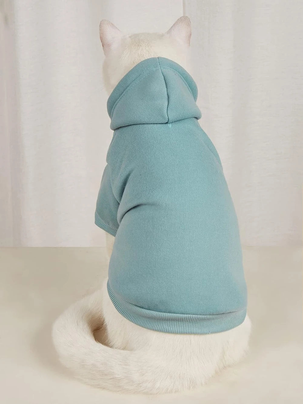 Qwinee Small Cat Hoodie