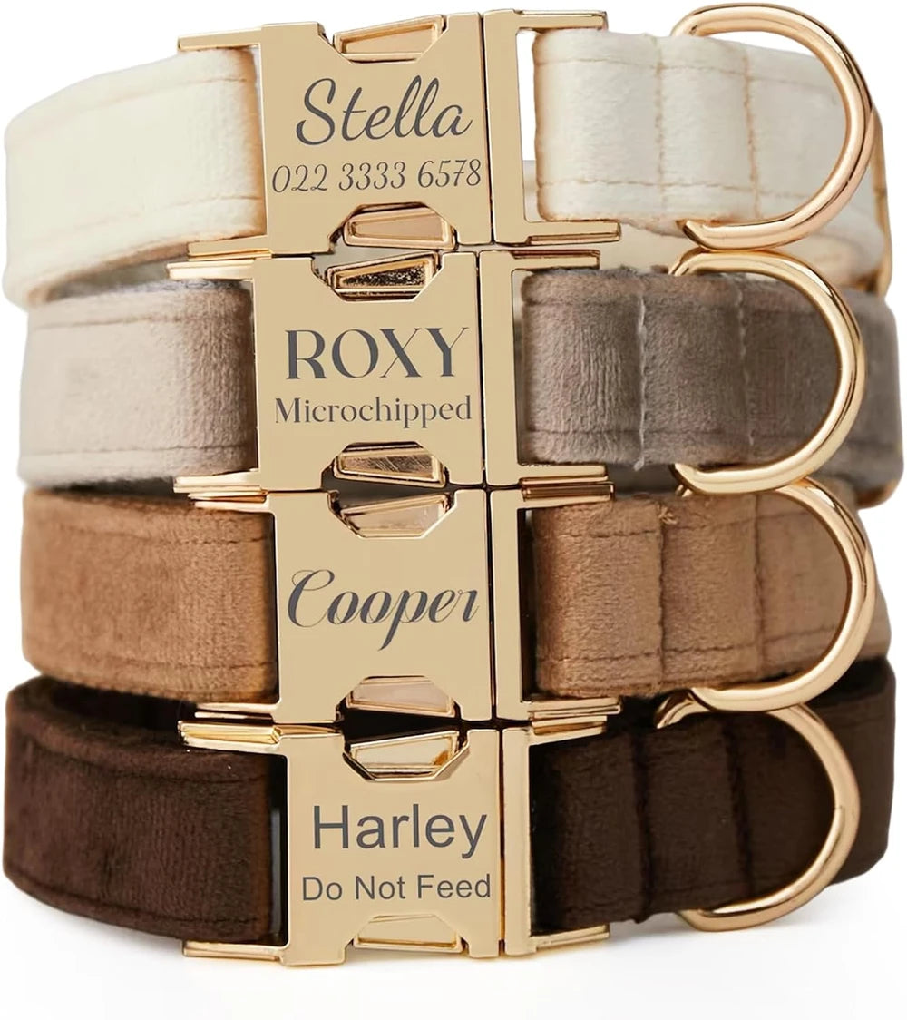 Personalized Velvet Dog Collar