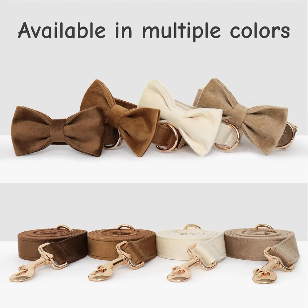 Personalized Velvet Dog Collar