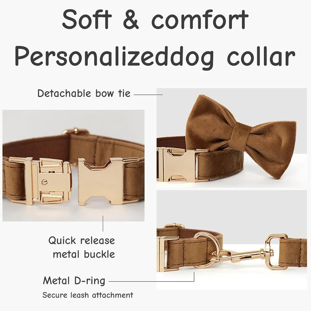 Personalized Velvet Dog Collar