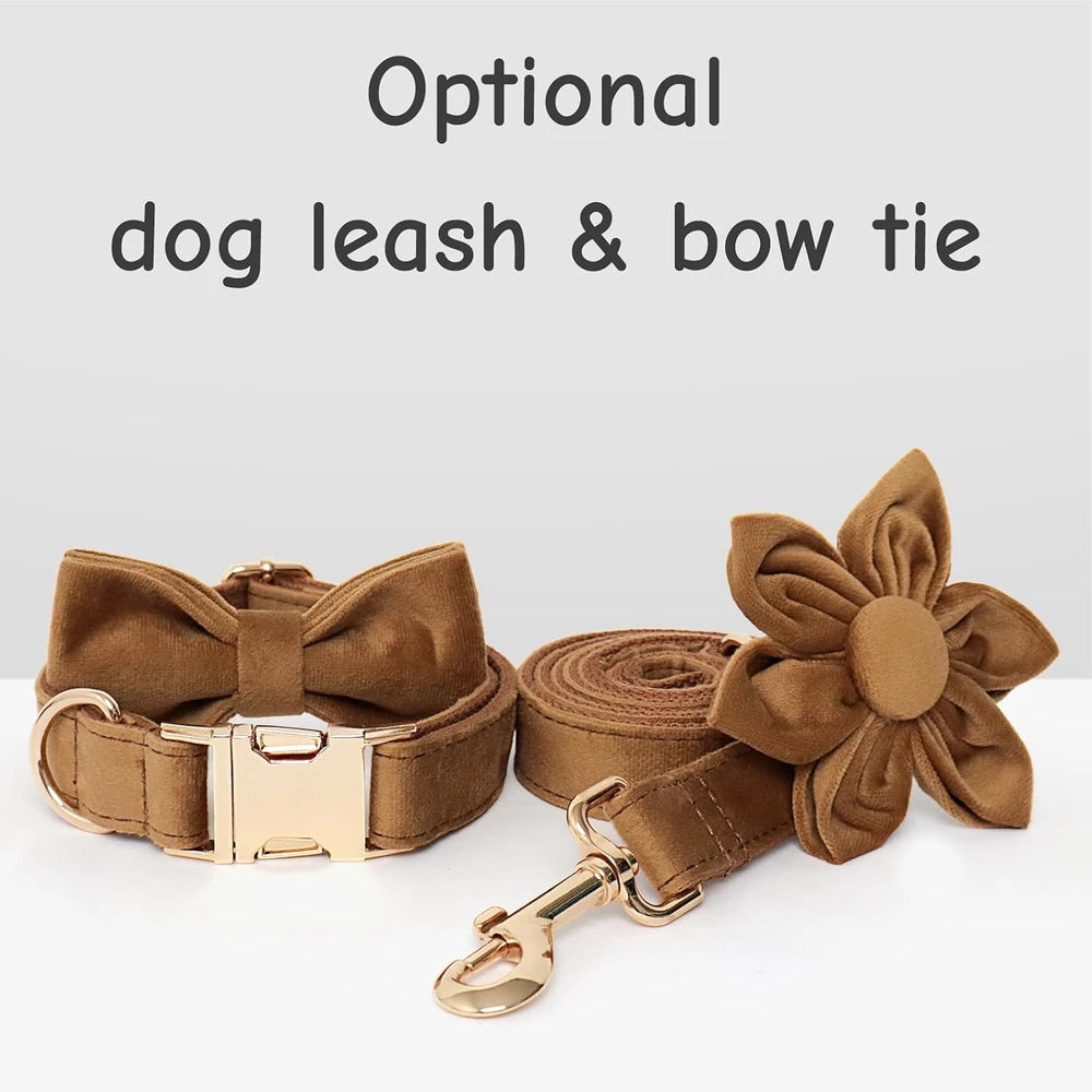Personalized Velvet Dog Collar