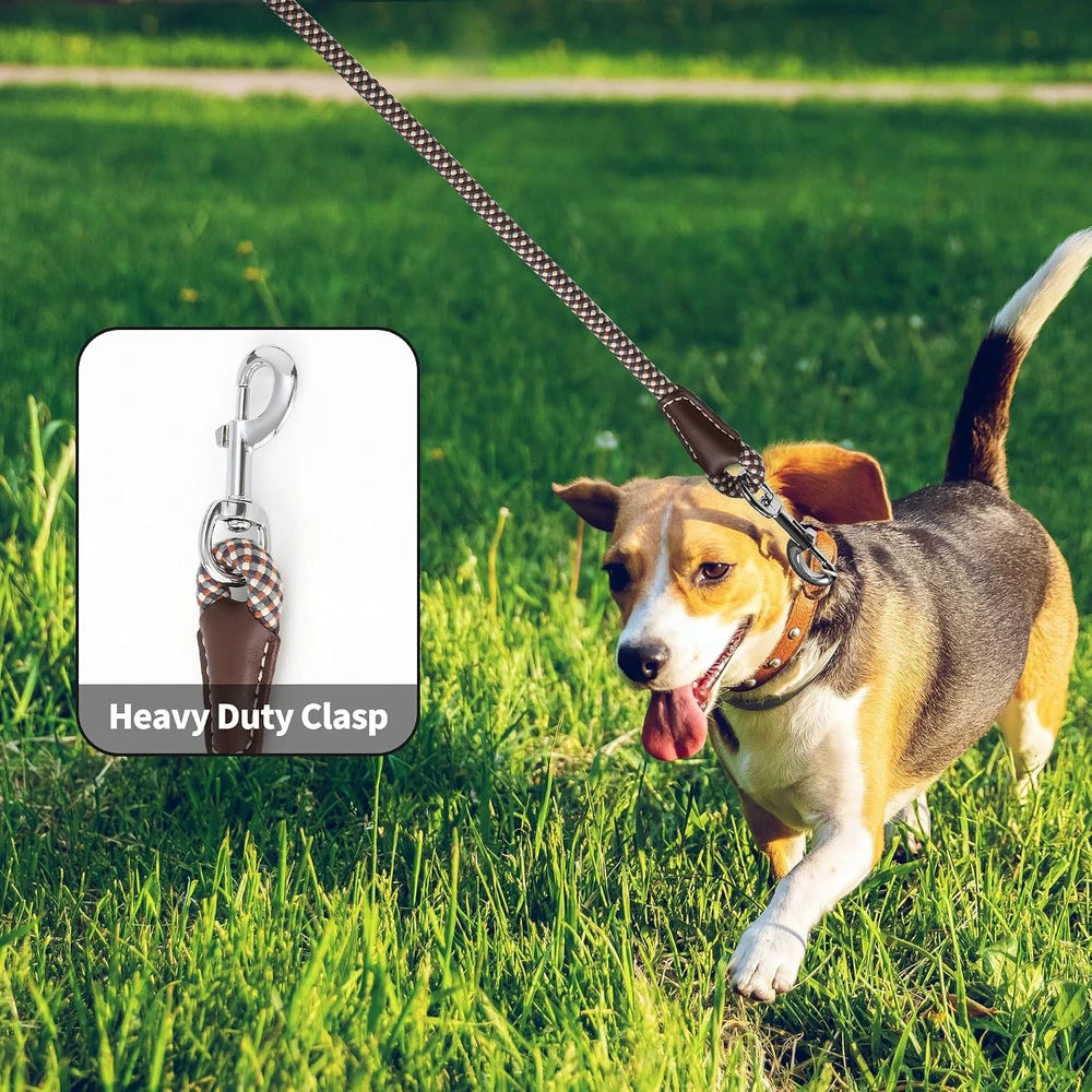Mile High Life Leather Handle Dog Leash