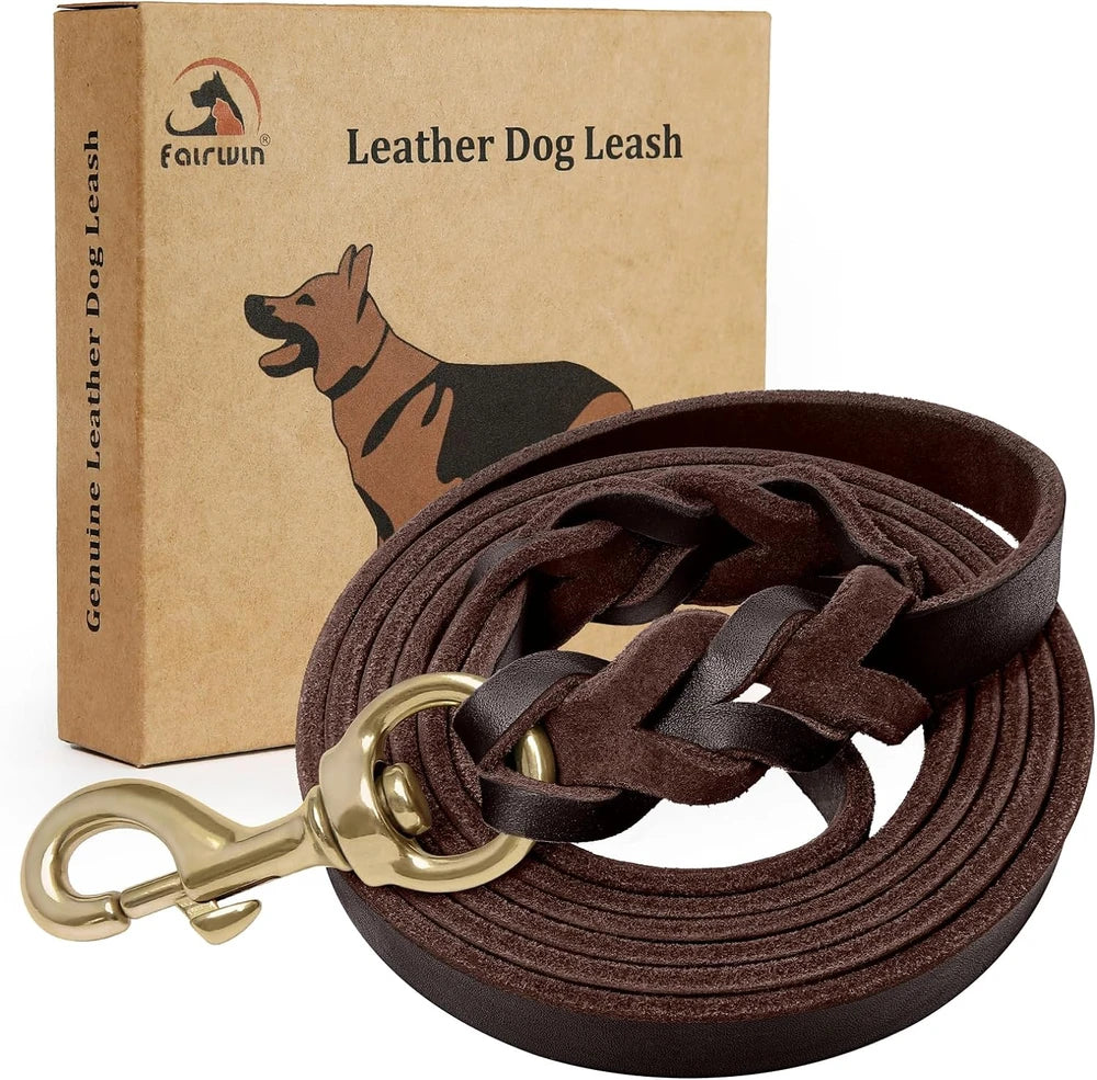 Braided Leather Dog Leash