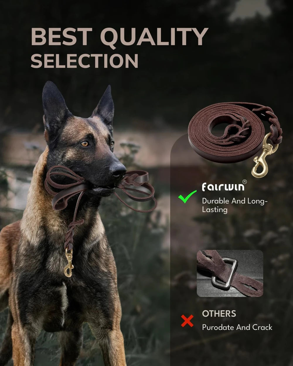 Braided Leather Dog Leash