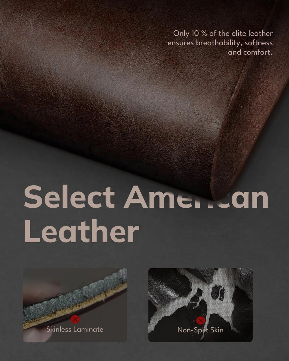 Braided Leather Dog Leash