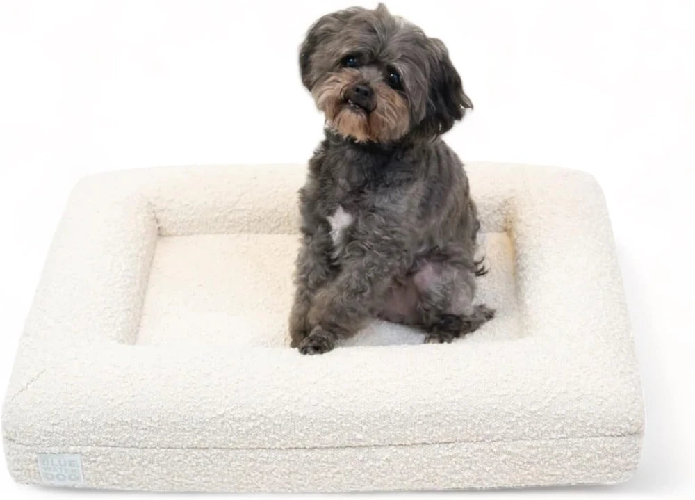 Orthopedic Boucle Memory Foam Dog Bed