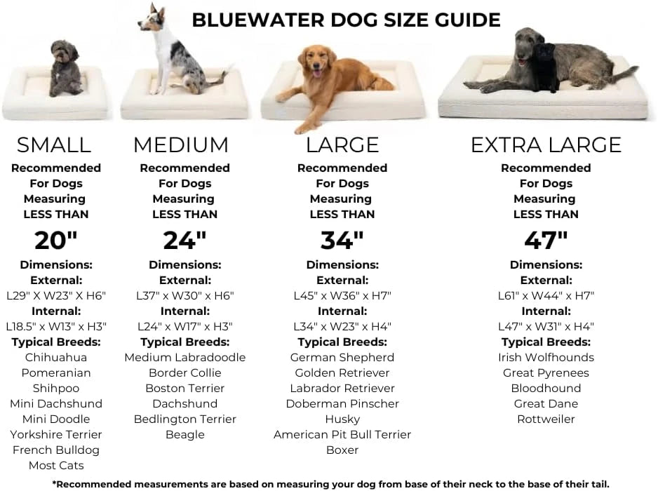 Orthopedic Boucle Memory Foam Dog Bed
