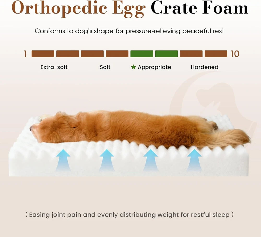 Orthopedic Foam Dog Bed