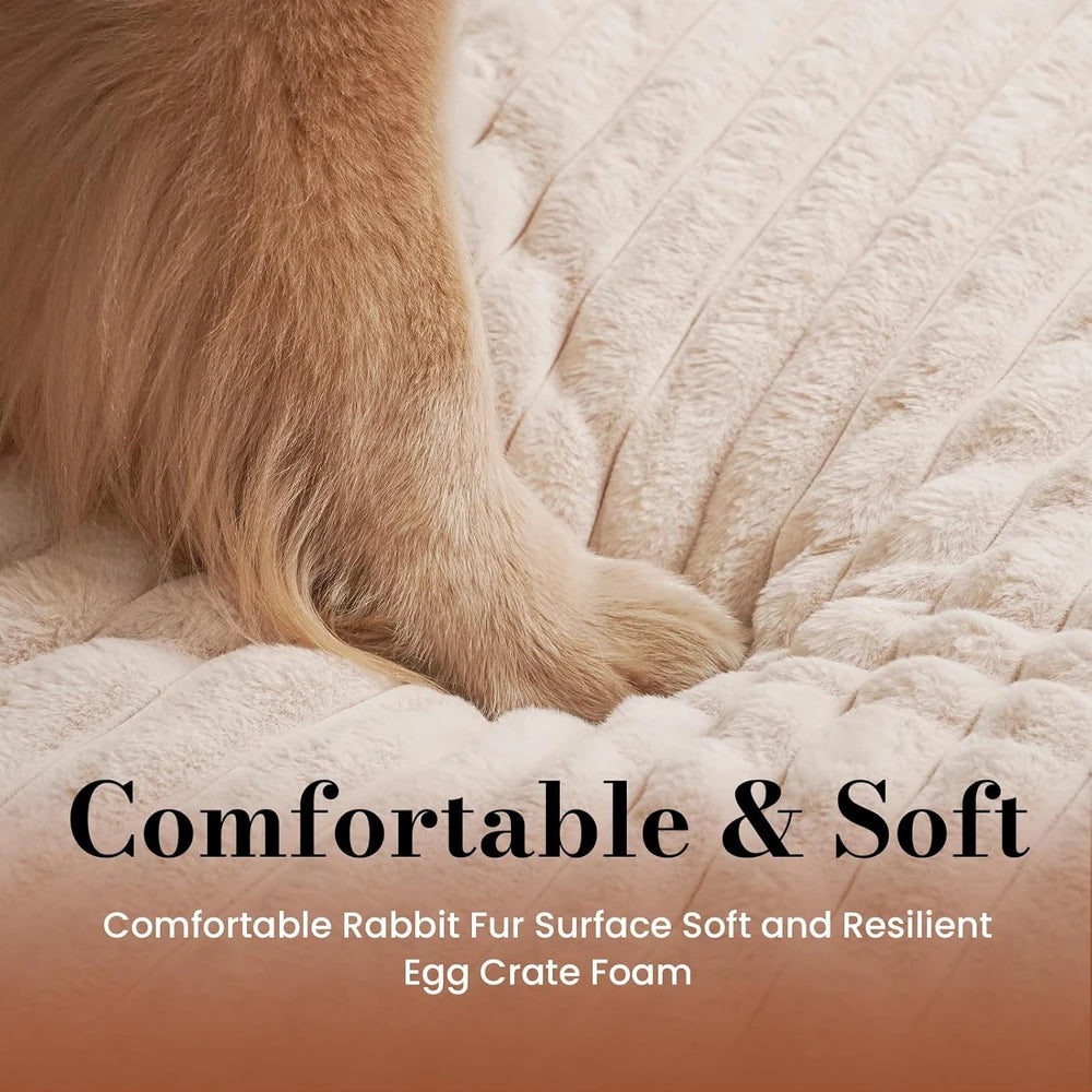 Orthopedic Foam Dog Bed