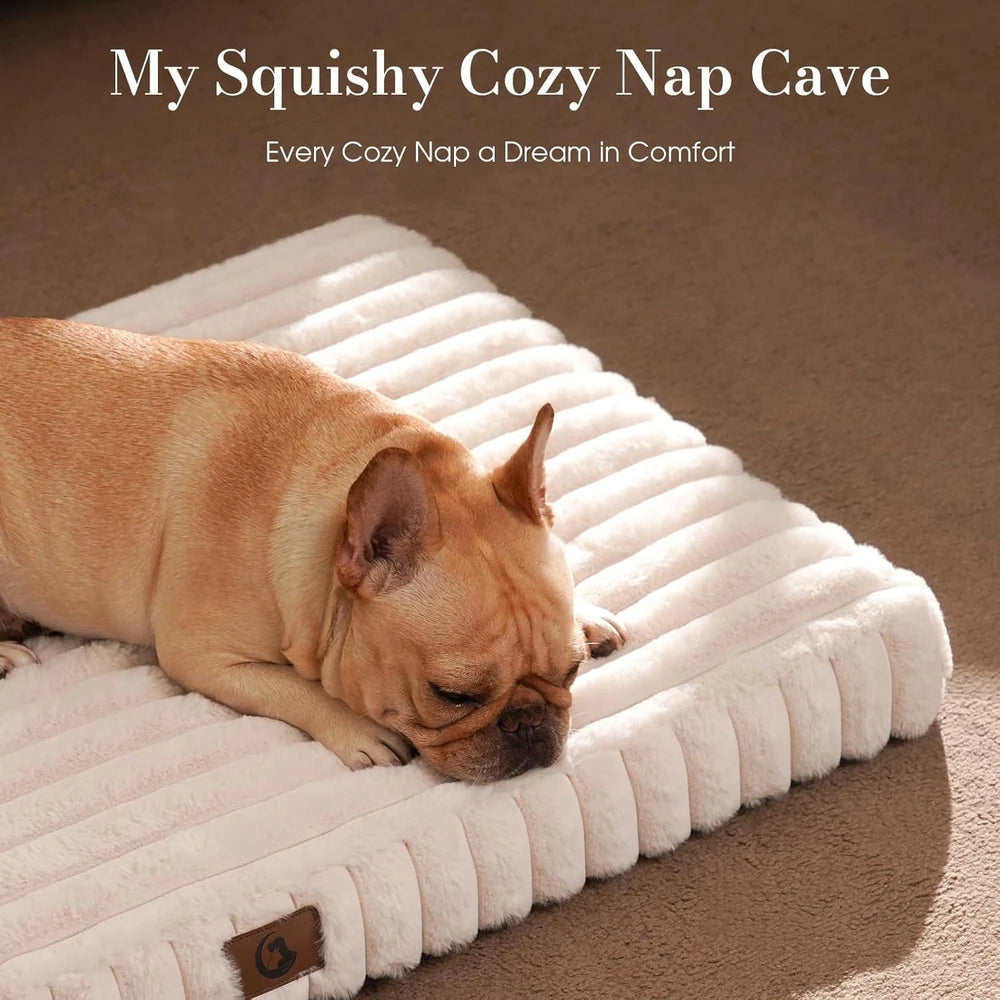 Orthopedic Foam Dog Bed