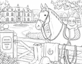 Luxe Coloring Page